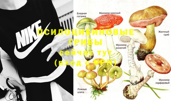 прущие крисы Балахна