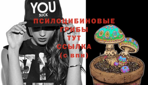 а пвп мука Армянск