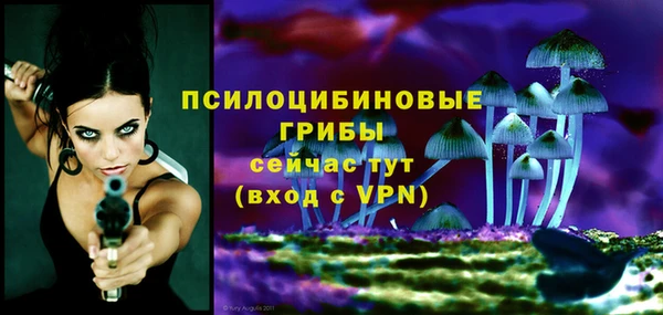 прущие крисы Балахна