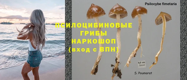 а пвп мука Армянск